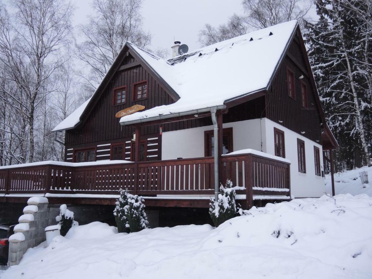 Vakantie huis Dum Oenter Villa Lučany nad Nisou Buitenkant foto